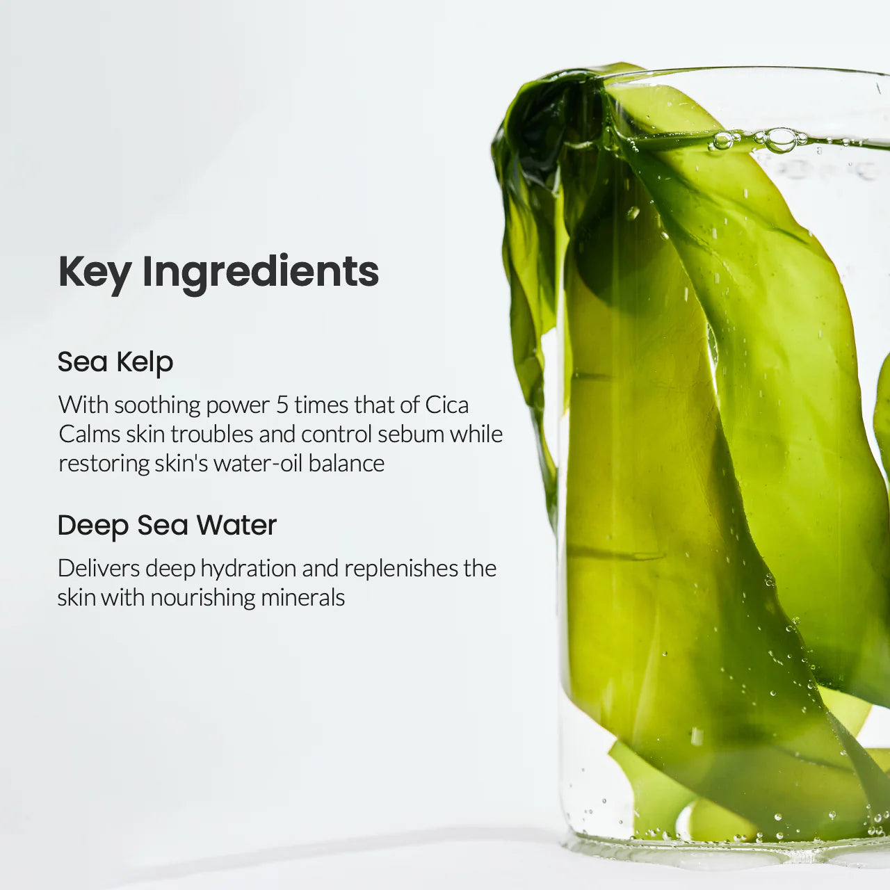 Biodance Refreshing Sea Kelp Mask قناع عشب البحر المنعش