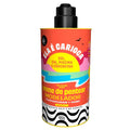 Lola From Rio - Els e Carioca Curl Styling Cream Curl Type + 4abc Defines Moisturizes and Controls Frizz 480G